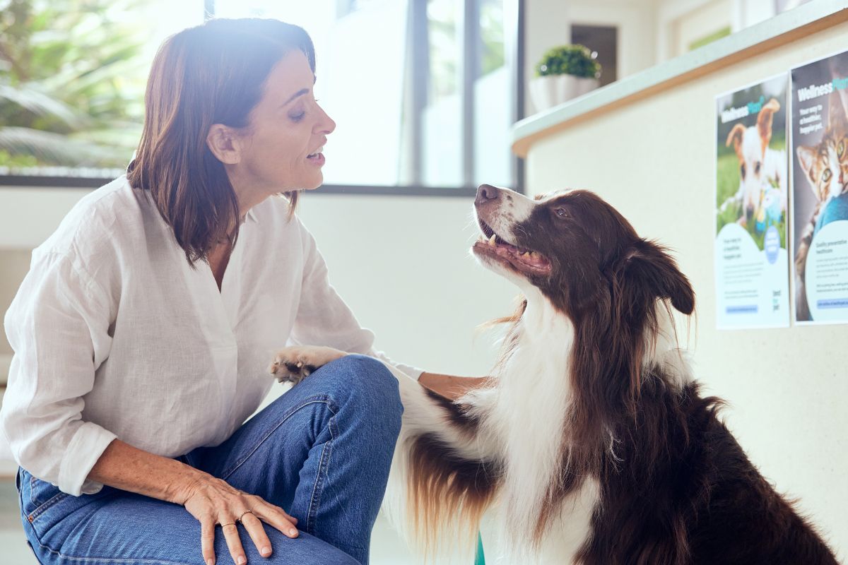 Dr Katrina Warren and her dog Chilli