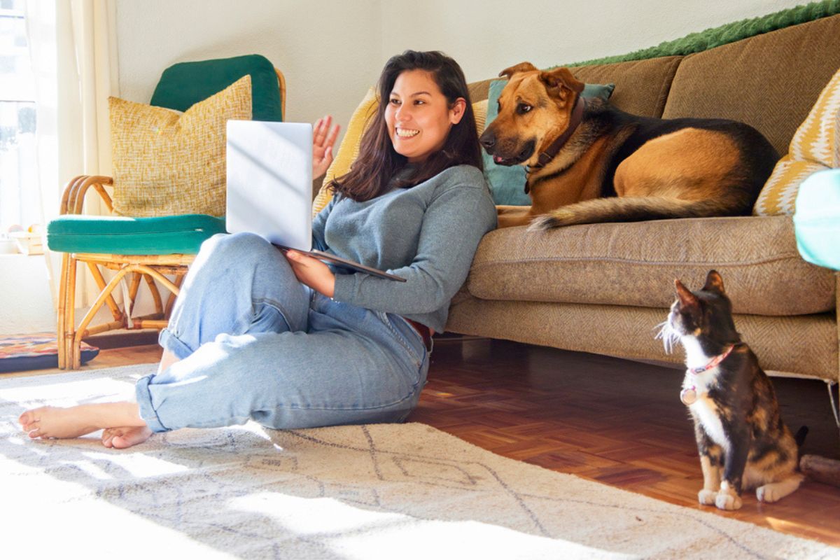 Lady on laptop with her dog and cat