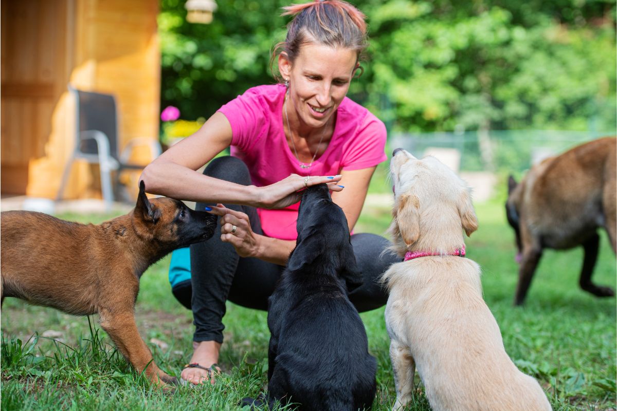 Lady patting three puppies