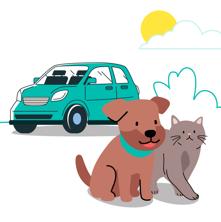 Car Quiz Hero banners-Mobile