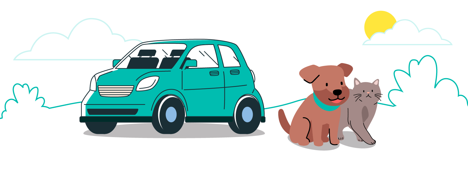 Car Quiz Hero banners-Web