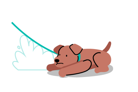 Lagging behind on walks