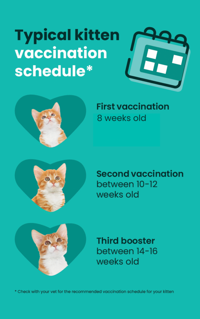 Kitten vaccination schedule_v2 Kitten vaccination schedule