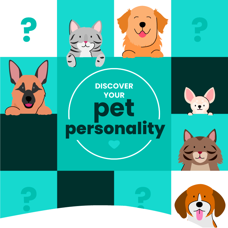 pet-personality-mobile
