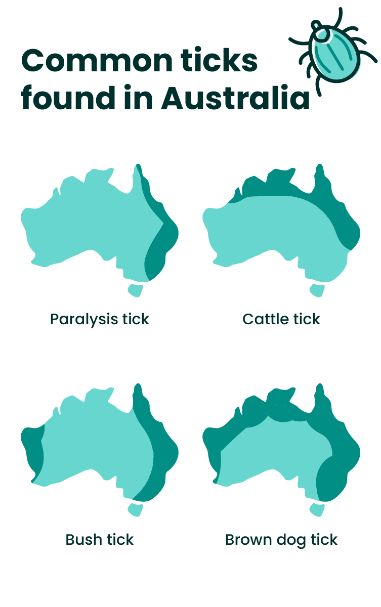 Tick vertical illustration